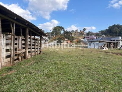 Terreno para Venda, em S�o Bento do Sul, bairro Serra Alta