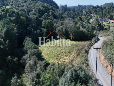 Terreno para Venda, em S�o Bento do Sul, bairro Cruzeiro