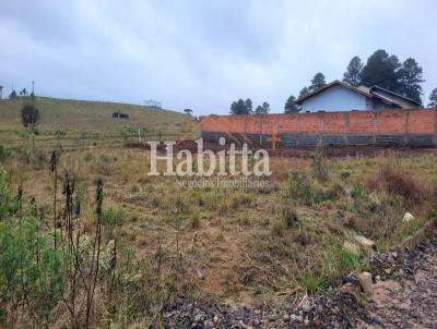 Terreno para Venda, em Rio Negrinho, bairro S�o Pedro