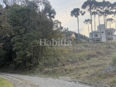 Terreno para Venda, em S�o Bento do Sul, bairro Colonial
