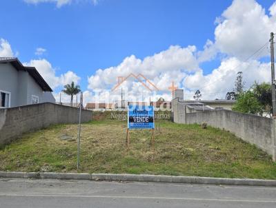Terreno para Venda, em S�o Bento do Sul, bairro Progresso