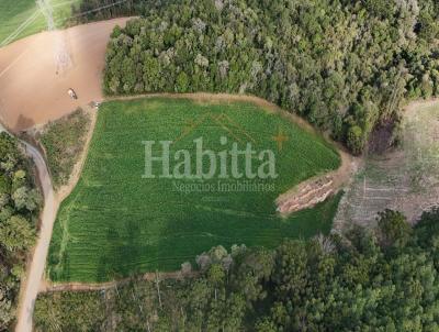 Terreno para Venda, em Campo Alegre, bairro BATEIAS DE BAIXO