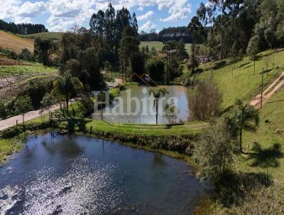 Ch�cara para Venda, em S�o Bento do Sul, bairro Fund�o, 2 dormit�rios, 1 banheiro