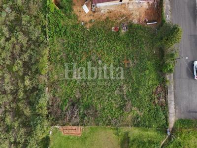 Terreno para Venda, em S�o Bento do Sul, bairro Dona Francisca