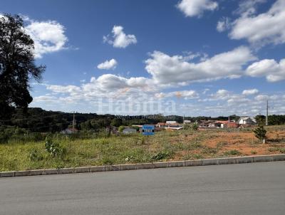Terreno para Venda, em S�o Bento do Sul, bairro Mato Preto