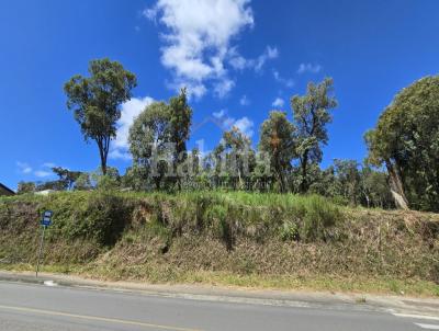 Terreno para Venda, em S�o Bento do Sul, bairro Centen�rio