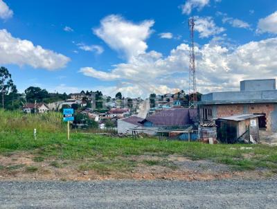 Terreno para Venda, em S�o Bento do Sul, bairro Oxford