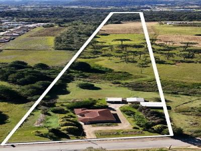 Terreno para Venda, em S�o Bento do Sul, bairro Bras�lia
