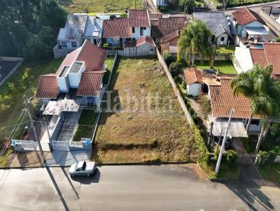 Terreno para Venda, em S�o Bento do Sul, bairro Mato Preto